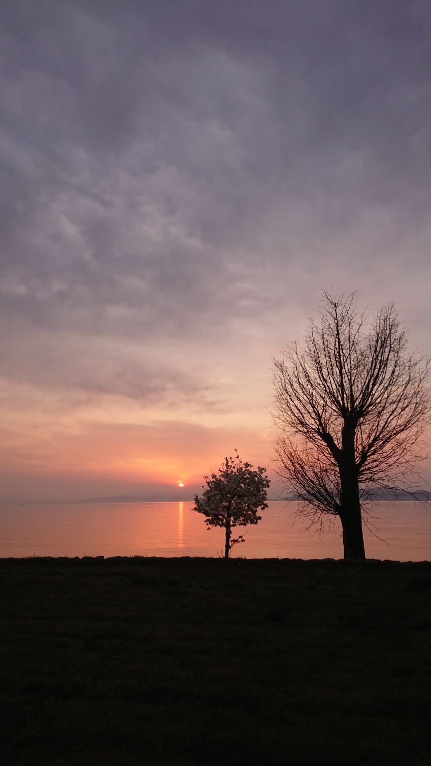 琵琶湖の日の出 - 日の出日の入時刻・方角マップ